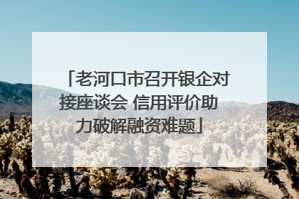 老河口市召开银企对接座谈会 信用评价助力破解融资难题