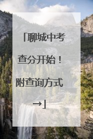 聊城中考查分开始！附查询方式→