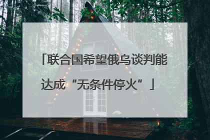 联合国希望俄乌谈判能达成“无条件停火”