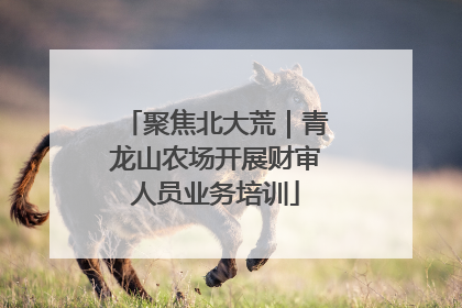 聚焦北大荒｜青龙山农场开展财审人员业务培训