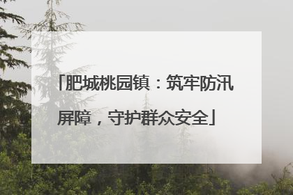肥城桃园镇：筑牢防汛屏障，守护群众安全