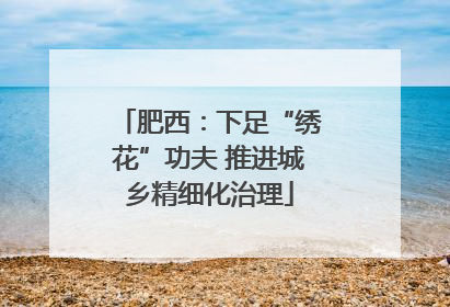 肥西：下足“绣花”功夫 推进城乡精细化治理