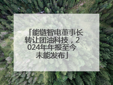 能链智电董事长转让团油科技，2024年年报至今未能发布