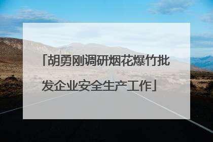 胡勇刚调研烟花爆竹批发企业安全生产工作
