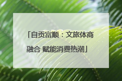 自贡富顺：文旅体商融合 赋能消费热潮