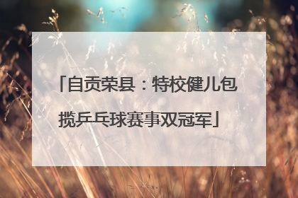 自贡荣县：特校健儿包揽乒乓球赛事双冠军