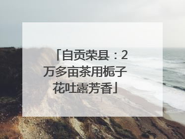 自贡荣县：2万多亩茶用栀子花吐露芳香