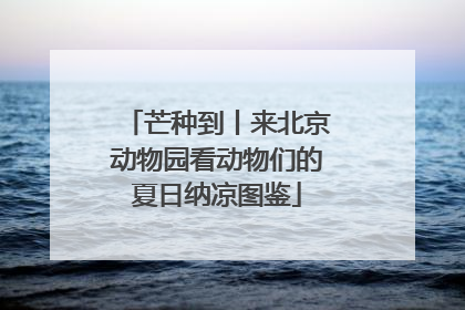 芒种到丨来北京动物园看动物们的夏日纳凉图鉴