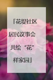 花堤社区居民议事会共绘“花”样家园