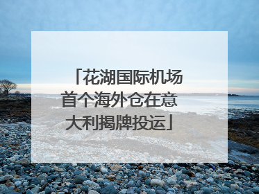 花湖国际机场首个海外仓在意大利揭牌投运
