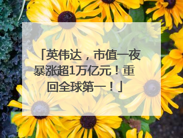 英伟达，市值一夜暴涨超1万亿元！重回全球第一！