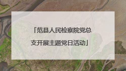 范县人民检察院党总支开展主题党日活动