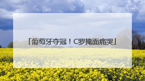 葡萄牙夺冠！C罗掩面痛哭