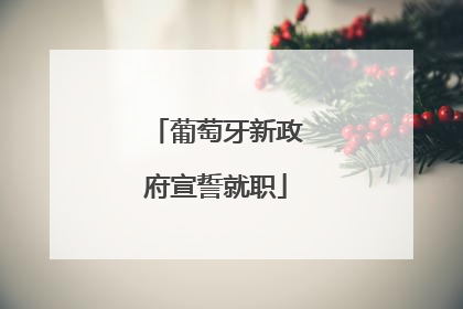 葡萄牙新政府宣誓就职