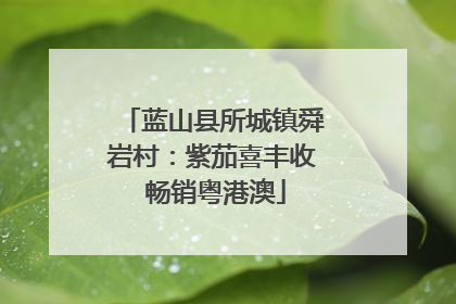 蓝山县所城镇舜岩村：紫茄喜丰收 畅销粤港澳