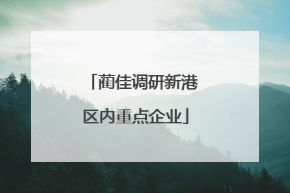 蔺佳调研新港区内重点企业