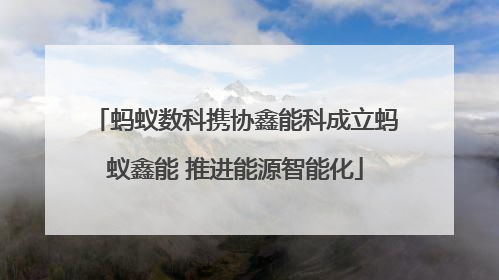 蚂蚁数科携协鑫能科成立蚂蚁鑫能 推进能源智能化