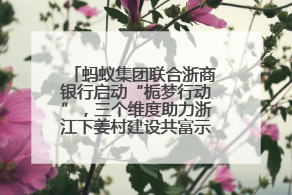 蚂蚁集团联合浙商银行启动“栀梦行动”，三个维度助力浙江下姜村建设共富示范区示范点