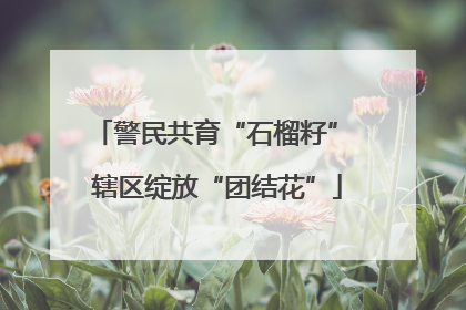 警民共育“石榴籽” 辖区绽放“团结花”
