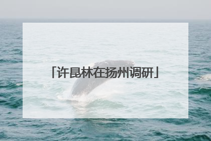 许昆林在扬州调研