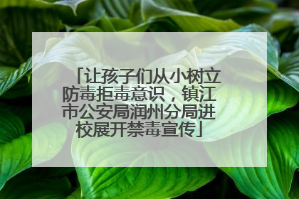 让孩子们从小树立防毒拒毒意识，镇江市公安局润州分局进校展开禁毒宣传