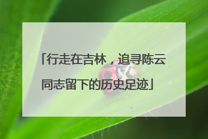 行走在吉林，追寻陈云同志留下的历史足迹