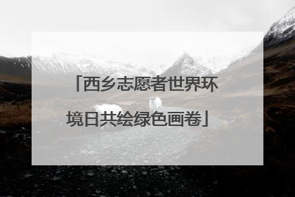 西乡志愿者世界环境日共绘绿色画卷