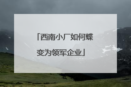 西南小厂如何蝶变为领军企业