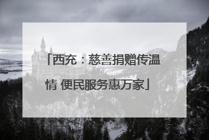 西充：慈善捐赠传温情 便民服务惠万家