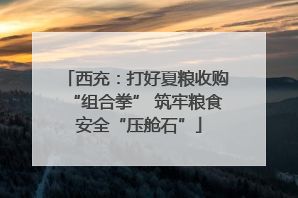 西充：打好夏粮收购“组合拳” 筑牢粮食安全“压舱石”