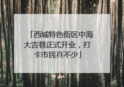 西城特色街区中海大吉巷正式开业，打卡市民真不少