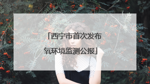 西宁市首次发布氧环境监测公报