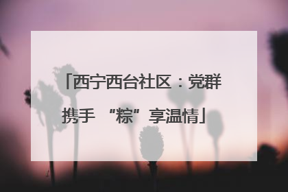 西宁西台社区：党群携手 “粽”享温情