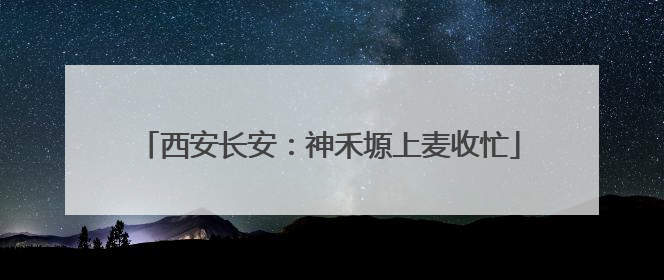 西安长安：神禾塬上麦收忙