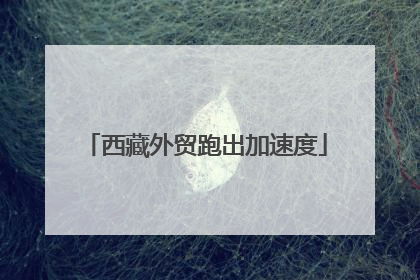 西藏外贸跑出加速度