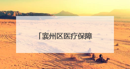 襄州区医疗保障局开展“粽香传情，家国情怀”端午节主题活动