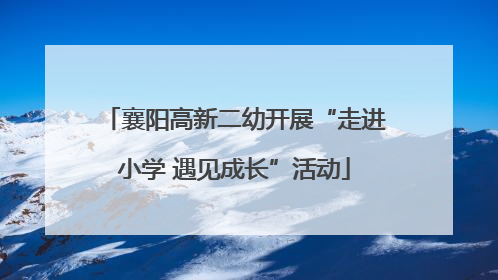 襄阳高新二幼开展“走进小学 遇见成长”活动