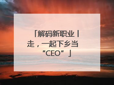 解码新职业丨走，一起下乡当“CEO”