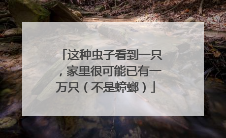 这种虫子看到一只，家里很可能已有一万只（不是蟑螂）
