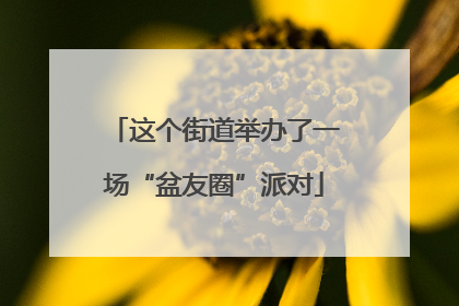 这个街道举办了一场“盆友圈”派对