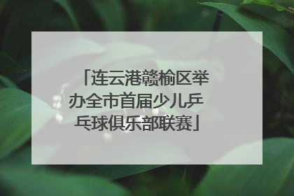 连云港赣榆区举办全市首届少儿乒乓球俱乐部联赛