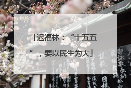 迟福林：“十五五”，要以民生为大