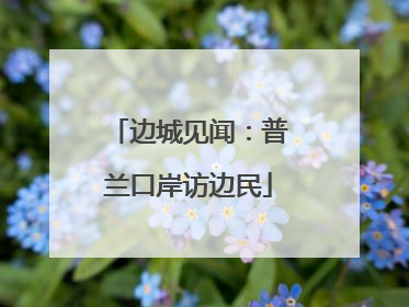 边城见闻：普兰口岸访边民
