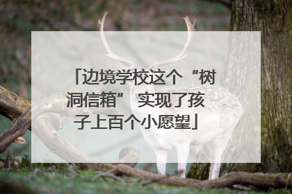 边境学校这个“树洞信箱” 实现了孩子上百个小愿望
