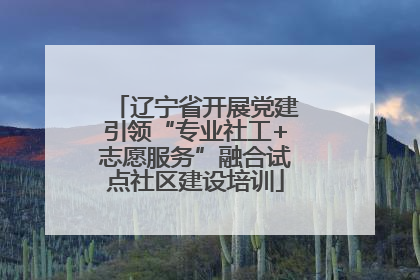 辽宁省开展党建引领“专业社工+志愿服务”融合试点社区建设培训