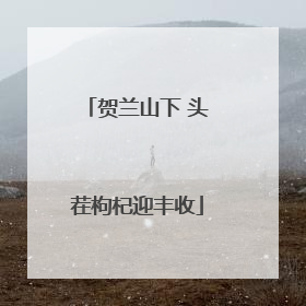 贺兰山下 头茬枸杞迎丰收