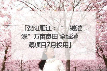 资阳雁江：“一键灌溉”万亩良田 全域灌溉项目7月投用