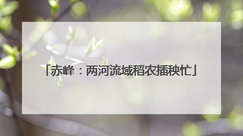 赤峰：两河流域稻农插秧忙
