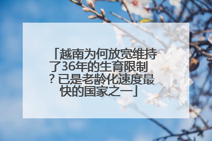 越南为何放宽维持了36年的生育限制？已是老龄化速度最快的国家之一