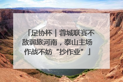 足协杯｜蓉城联赛不敌弱旅河南，泰山主场作战不妨“抄作业”
